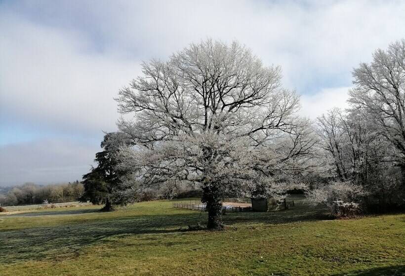 Bed and Breakfast Domaine De Savignac