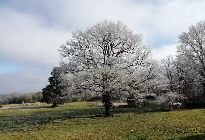 Aamiaismajoitus (B&B) Domaine De Savignac