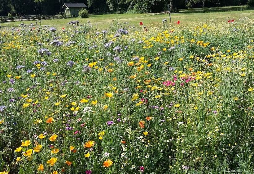 Bed and Breakfast Domaine De Savignac