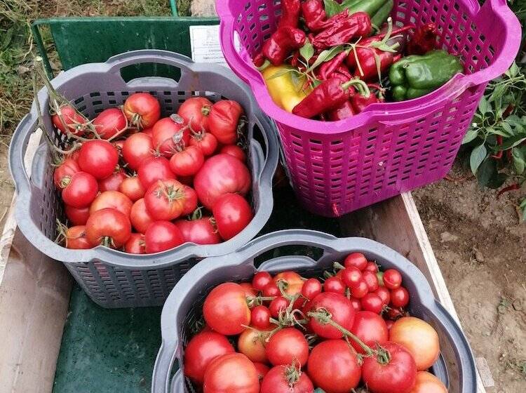 Bed and Breakfast Domaine De Savignac