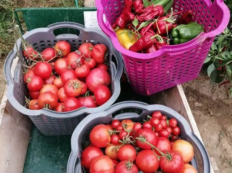 Aamiaismajoitus (B&B) Domaine De Savignac