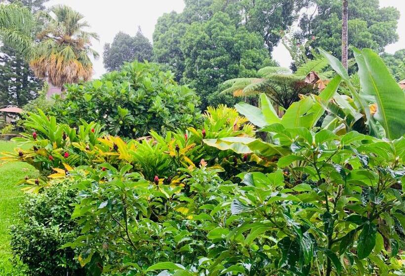 فندق Wild Ginger