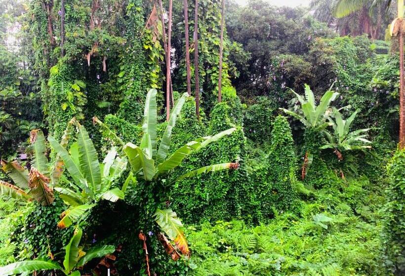 فندق Wild Ginger