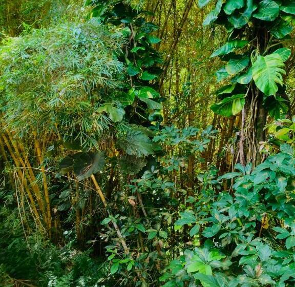 فندق Wild Ginger