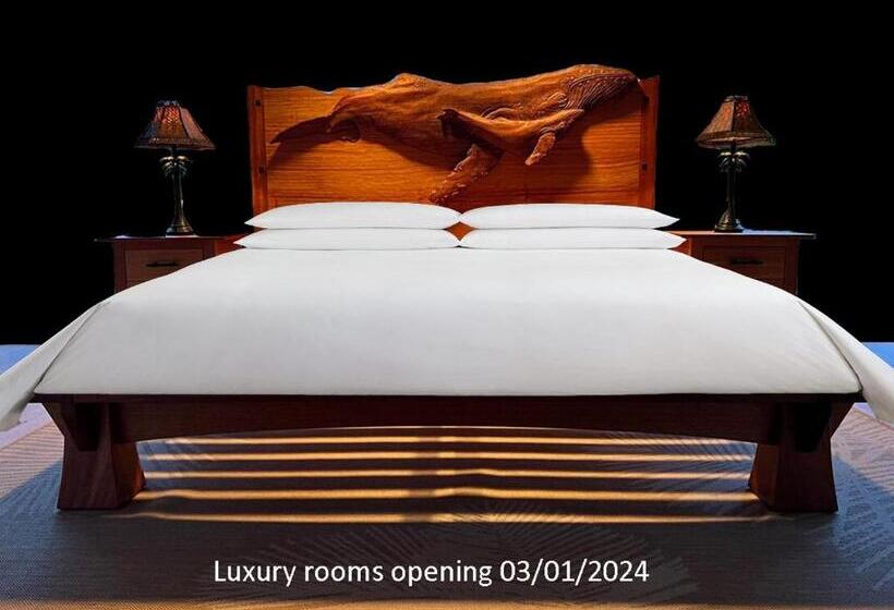 فندق Wild Ginger