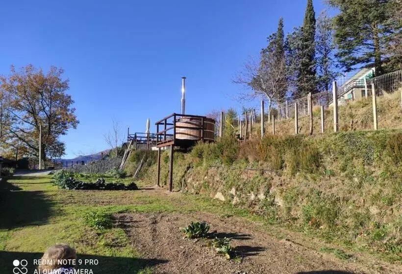 Agriturismo Terre Verae