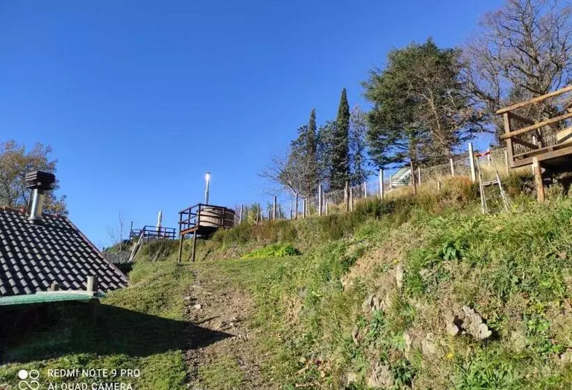 Agriturismo Terre Verae