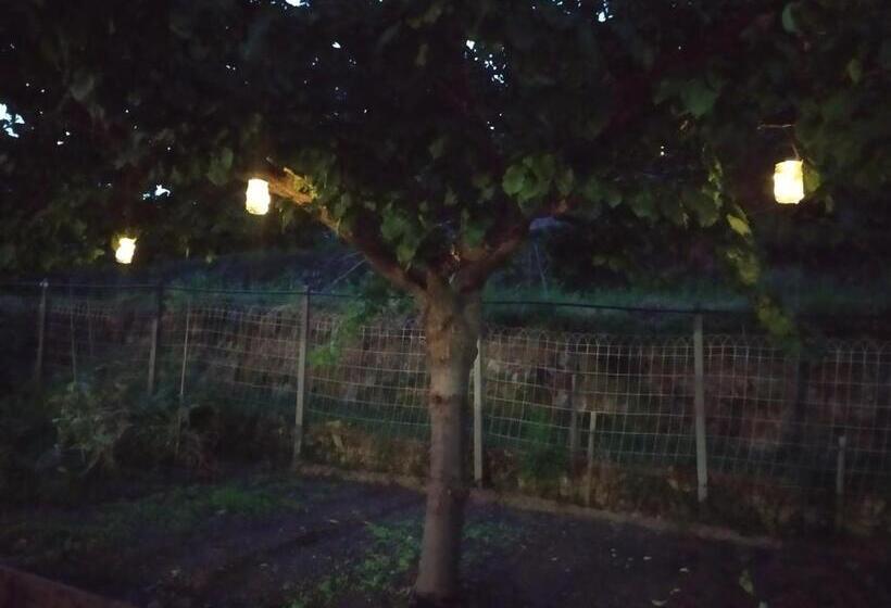 Agriturismo Terre Verae