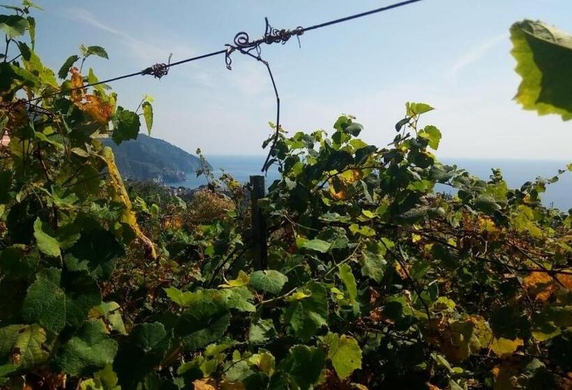 Agriturismo Terre Verae