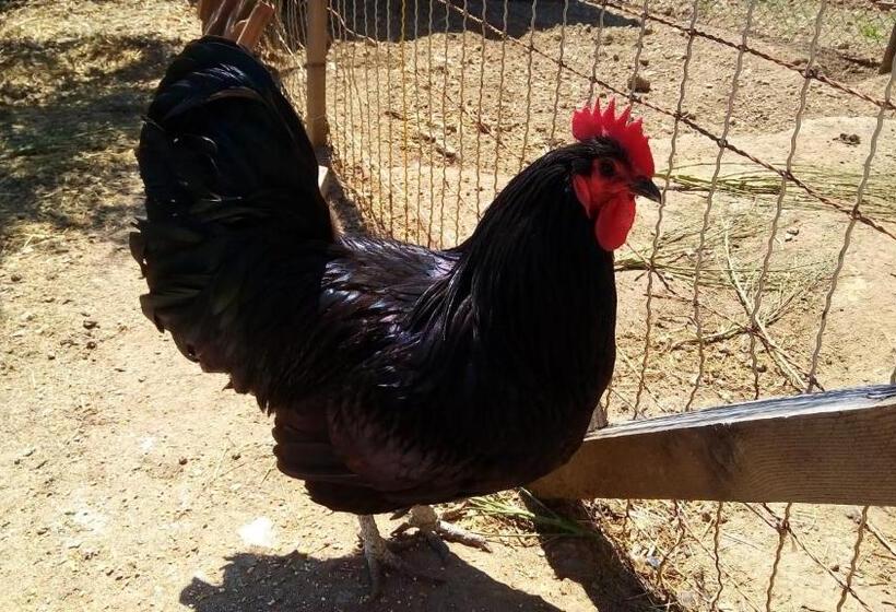 Agriturismo Terre Verae