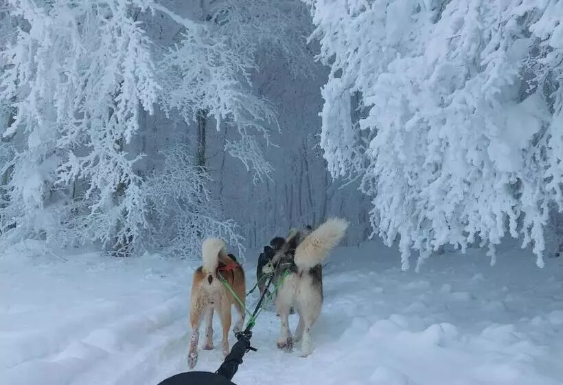 Aamiaismajoitus (B&B) Le Mas De Rigoulac Chambre Bulle Spa Sur Réservation