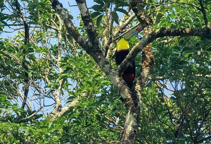 هتل Monteverde House