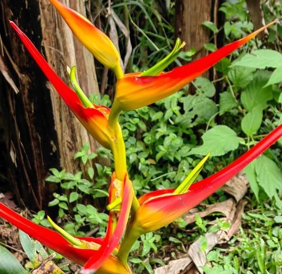 هتل Monteverde House