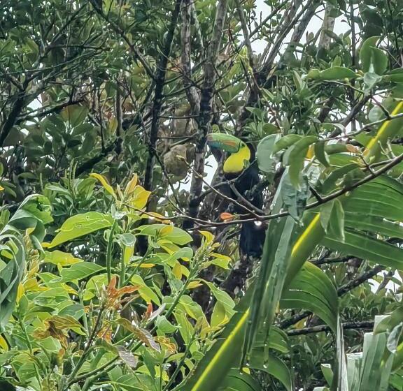 هتل Monteverde House