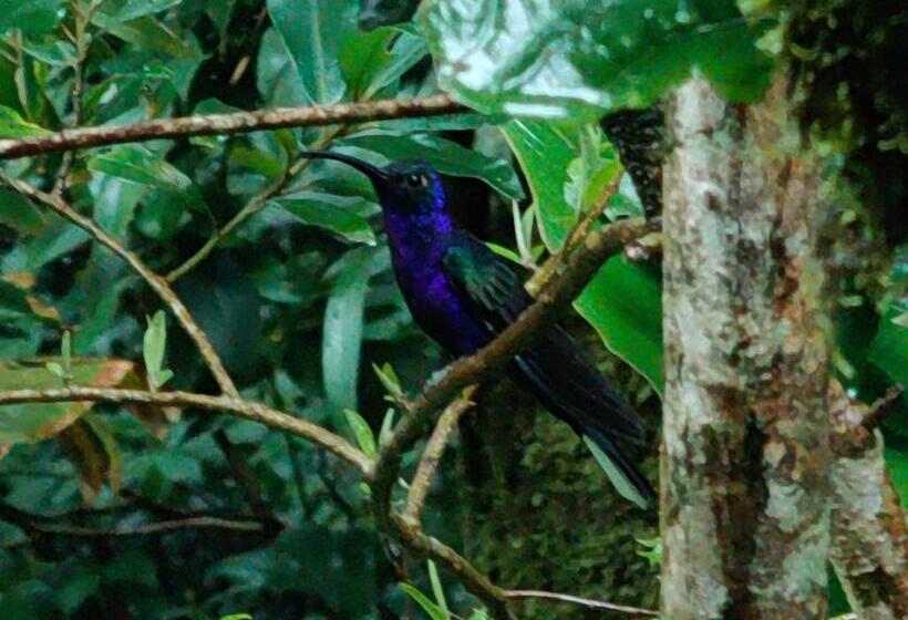 هتل Monteverde House