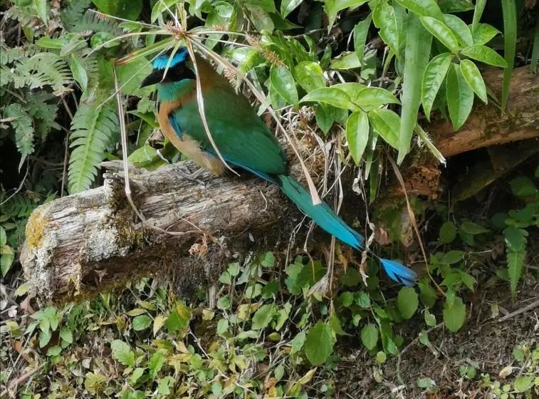 Hotelli Monteverde House