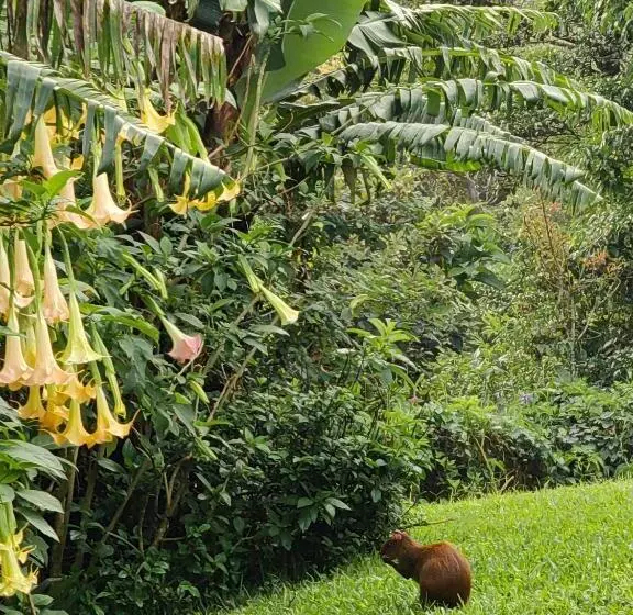 Hotelli Monteverde House