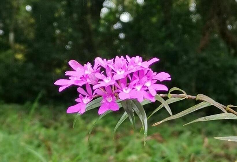 هتل Monteverde House