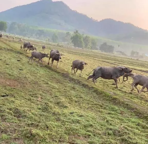 Retkeilymaja Connexion