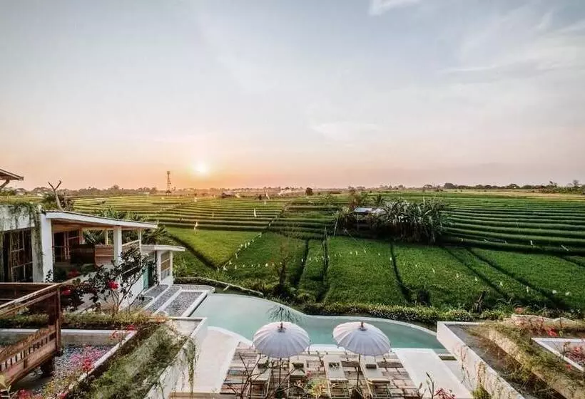Hotelli Boho Canggu