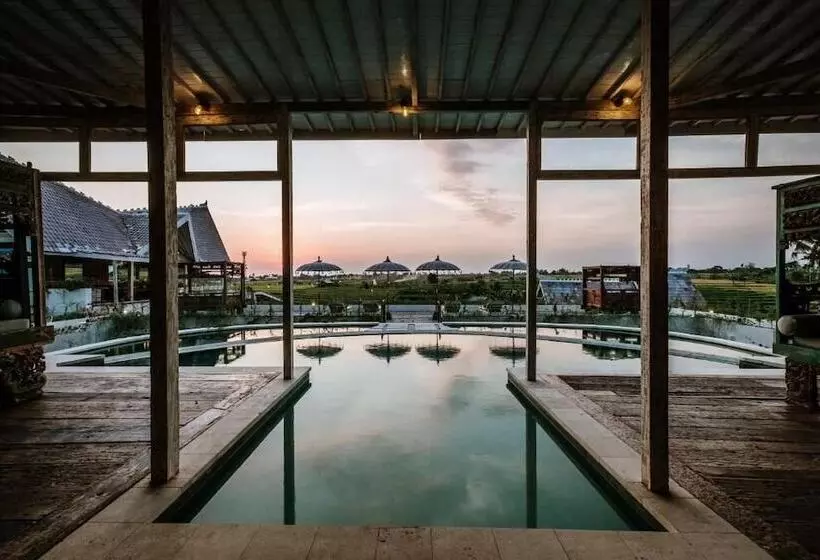 Hotelli Boho Canggu