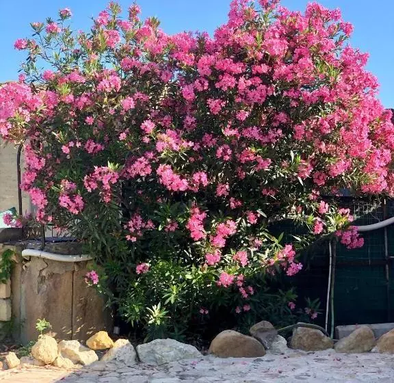 پانسیون Agrialma