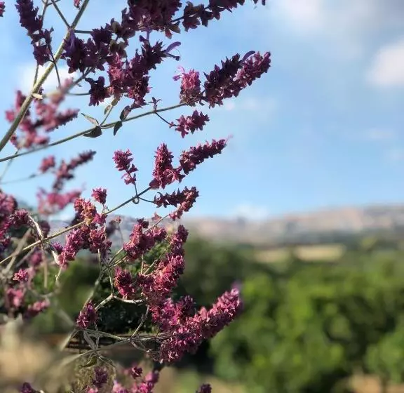 پانسیون Agrialma