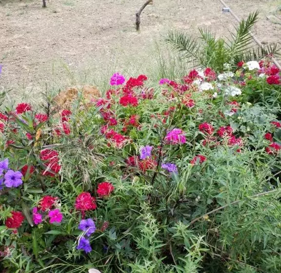 پانسیون Agrialma