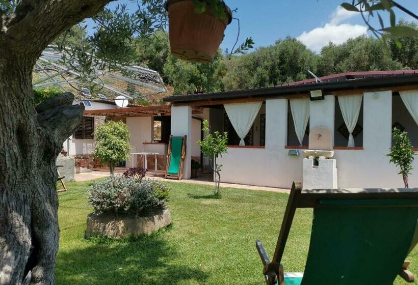 膳宿费 Baia Degli Ulivi