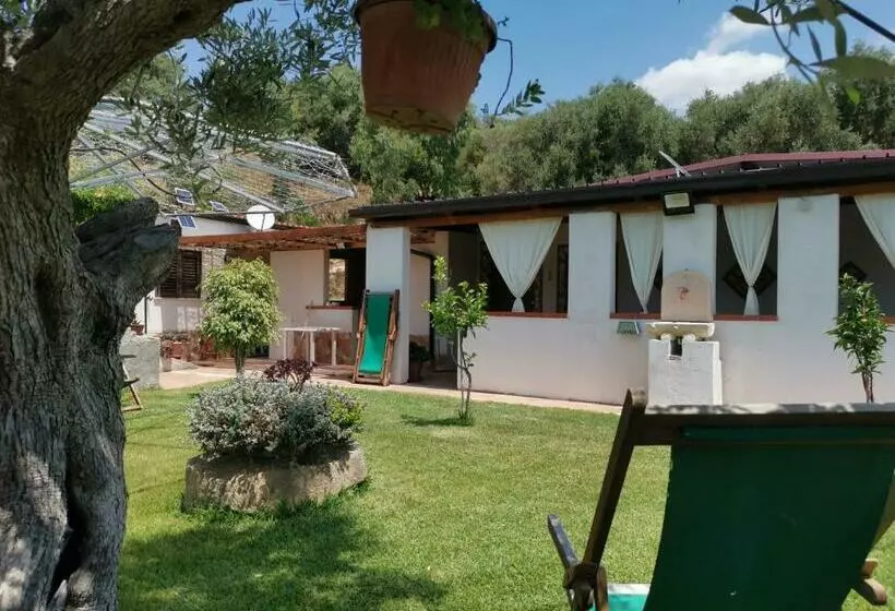 پانسیون Baia Degli Ulivi