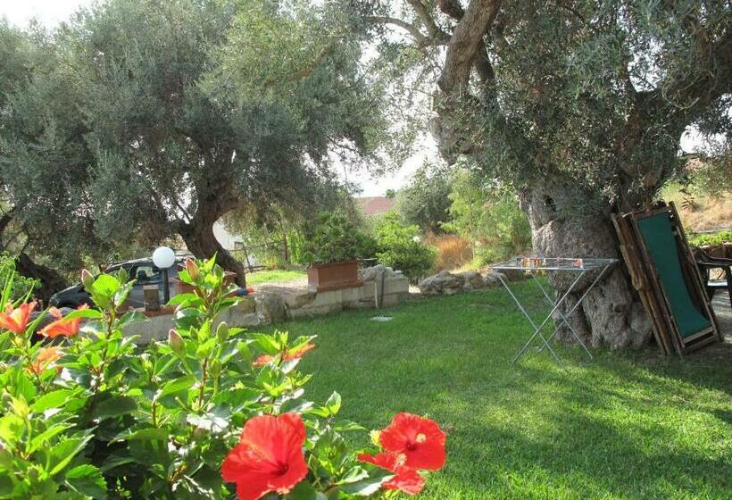 膳宿费 Baia Degli Ulivi