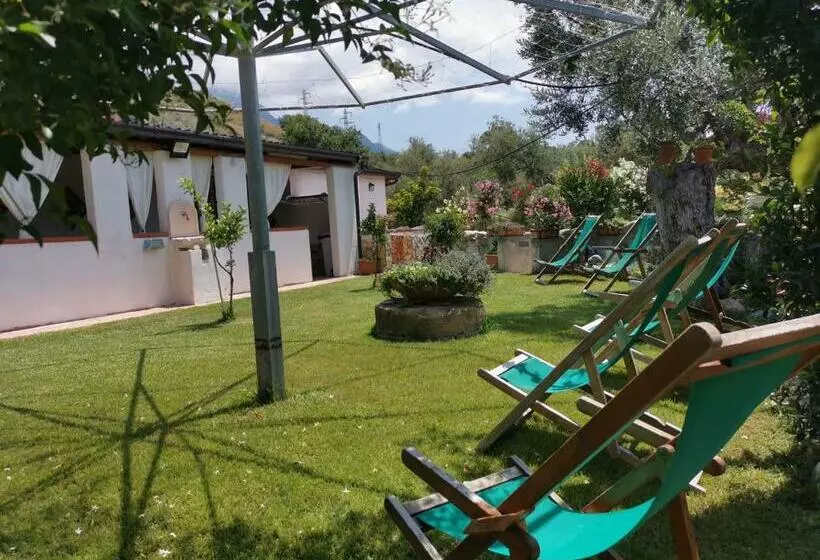 پانسیون Baia Degli Ulivi