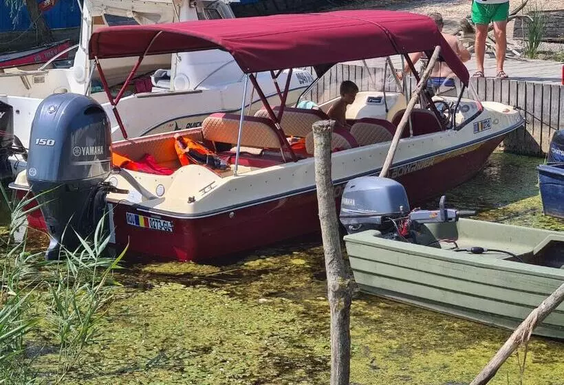 ペンション Camere De închiriat Duly Costinești