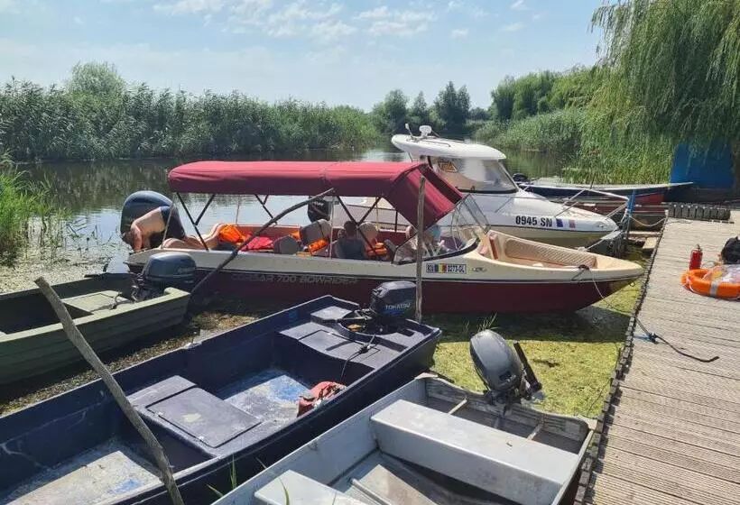 ペンション Camere De închiriat Duly Costinești