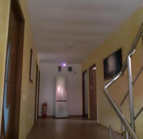 بنسيون Camere De închiriat Duly Costinești