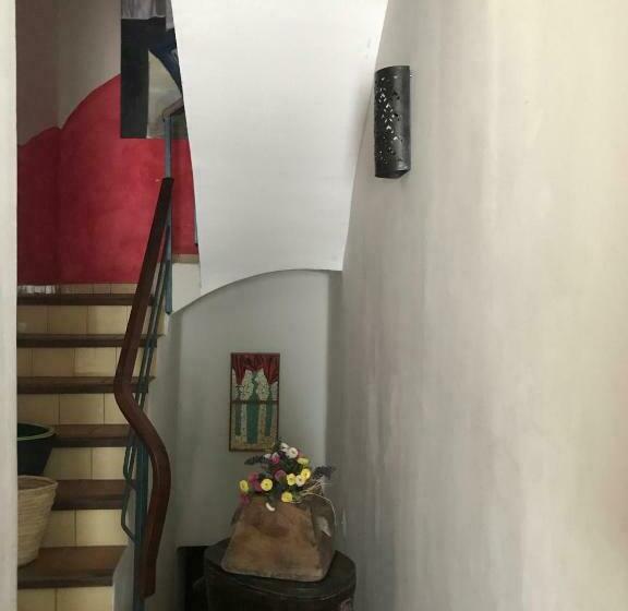 פנסיון La Terraza