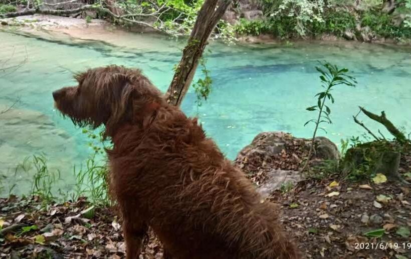 פנסיון La Terraza