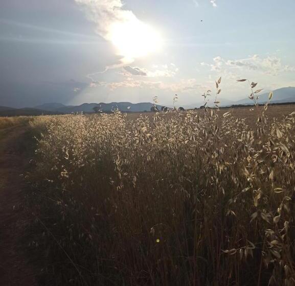 פנסיון La Terraza