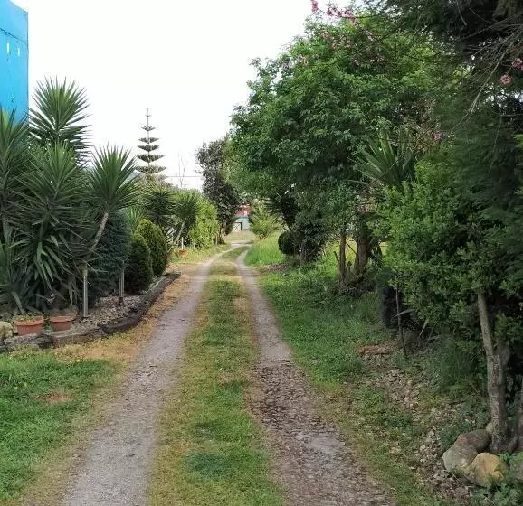 Pensión Tabaza