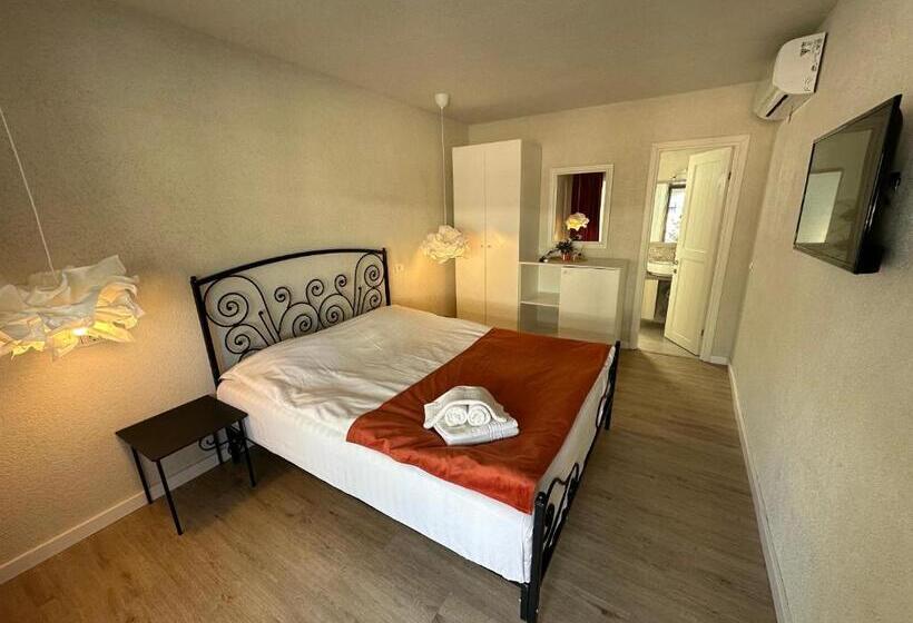 پانسیون Vamyami Vama Veche