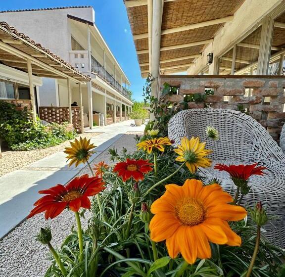 پانسیون Vamyami Vama Veche