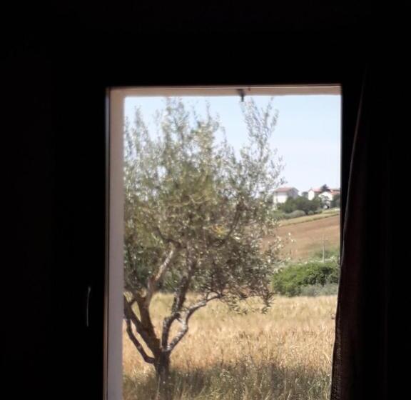 Bed and Breakfast Casa Rosa