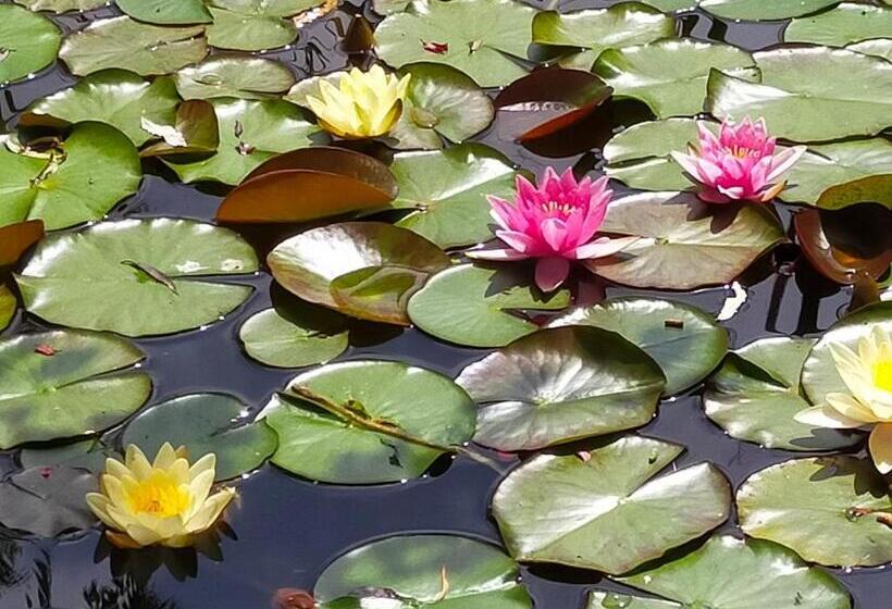 Bed and Breakfast Chambre D Hôtes Comme Une évidence