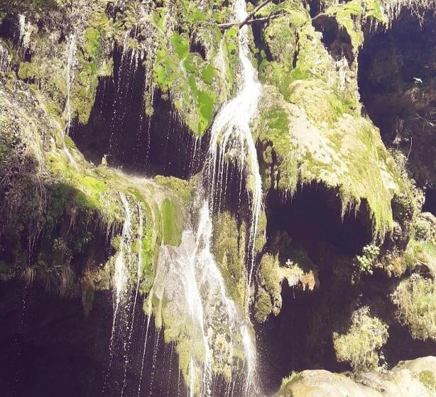 Bed and Breakfast Chambre D Hôtes Comme Une évidence