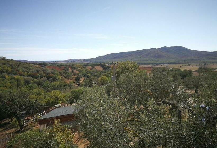 בית מלון כפרי Agriturismo Margherita