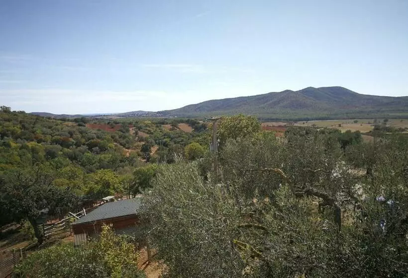 ホテル Agriturismo Margherita