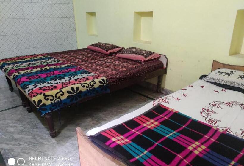 Bed and Breakfast Seventh Sea