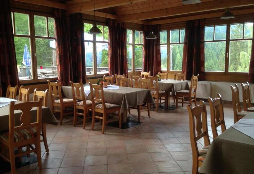 旅馆 Alpengasthof Hoiswirt