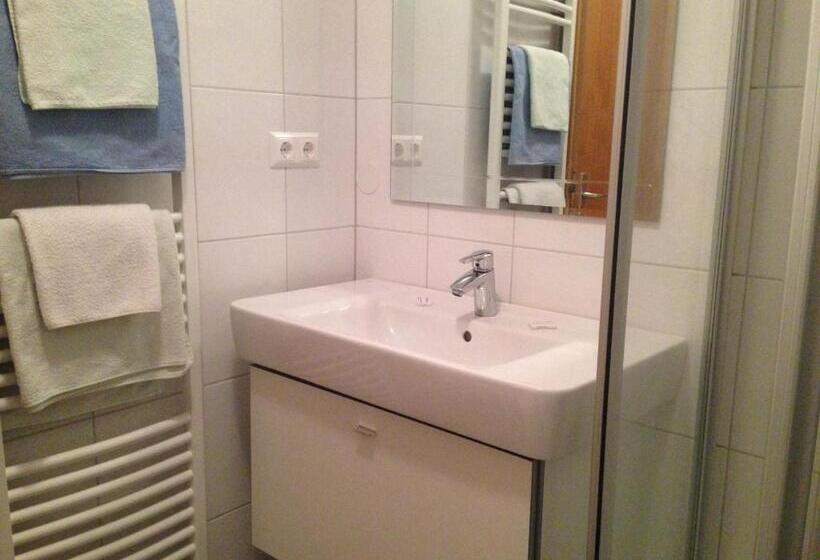 旅馆 Alpengasthof Hoiswirt