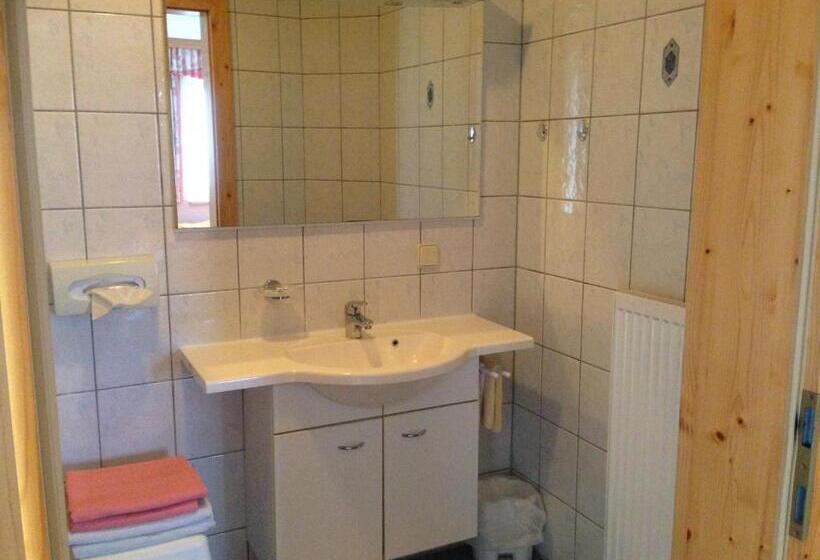 旅馆 Alpengasthof Hoiswirt